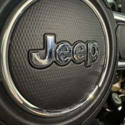 Casey Ray Incorporated - Steering wheel emblem