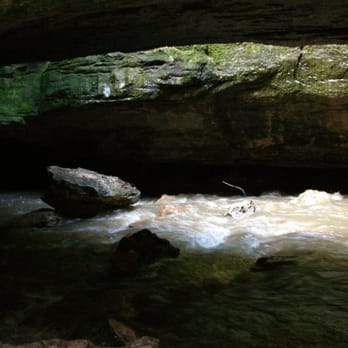 Rock Bridge Memorial State Park - Parks Near Me - Columbia, Missouri Rock Bridge Memorial State Park - Parks Near Me - Columbia, Missouri