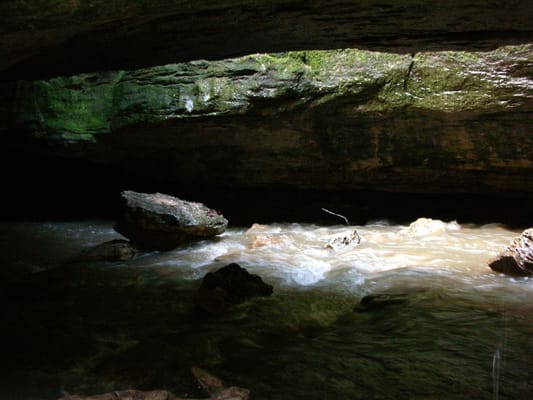 Rock Bridge Memorial State Park by null