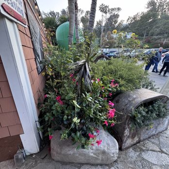 Paradise Cove Beach Cafe - American Near Me - Malibu, California
