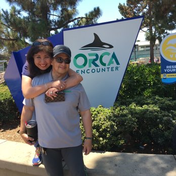 Dine With Orcas - Buffets Near Me - San Diego, California Dine With Orcas - Buffets Near Me - San Diego, California