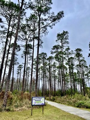 Okefenokee National Wildlife Refuge by null