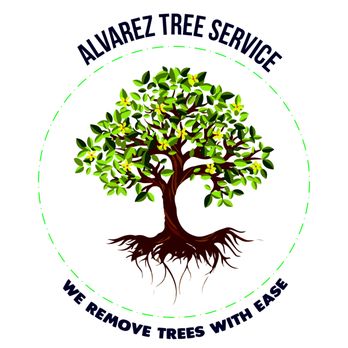 Alvarez tree service - Logo - Tree Services Near Me Alvarez tree service - Logo - Tree Services Near Me