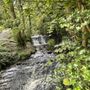 Photo of Glencar Waterfall