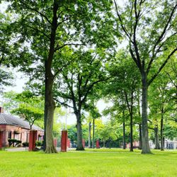 Raymond O'Connor Park