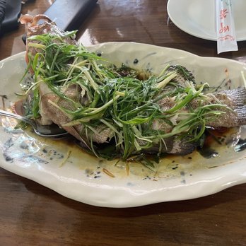 Restaurante Chino 中餐厅 - Grouper fish - Chinese Near Me - Cancún, ROO
