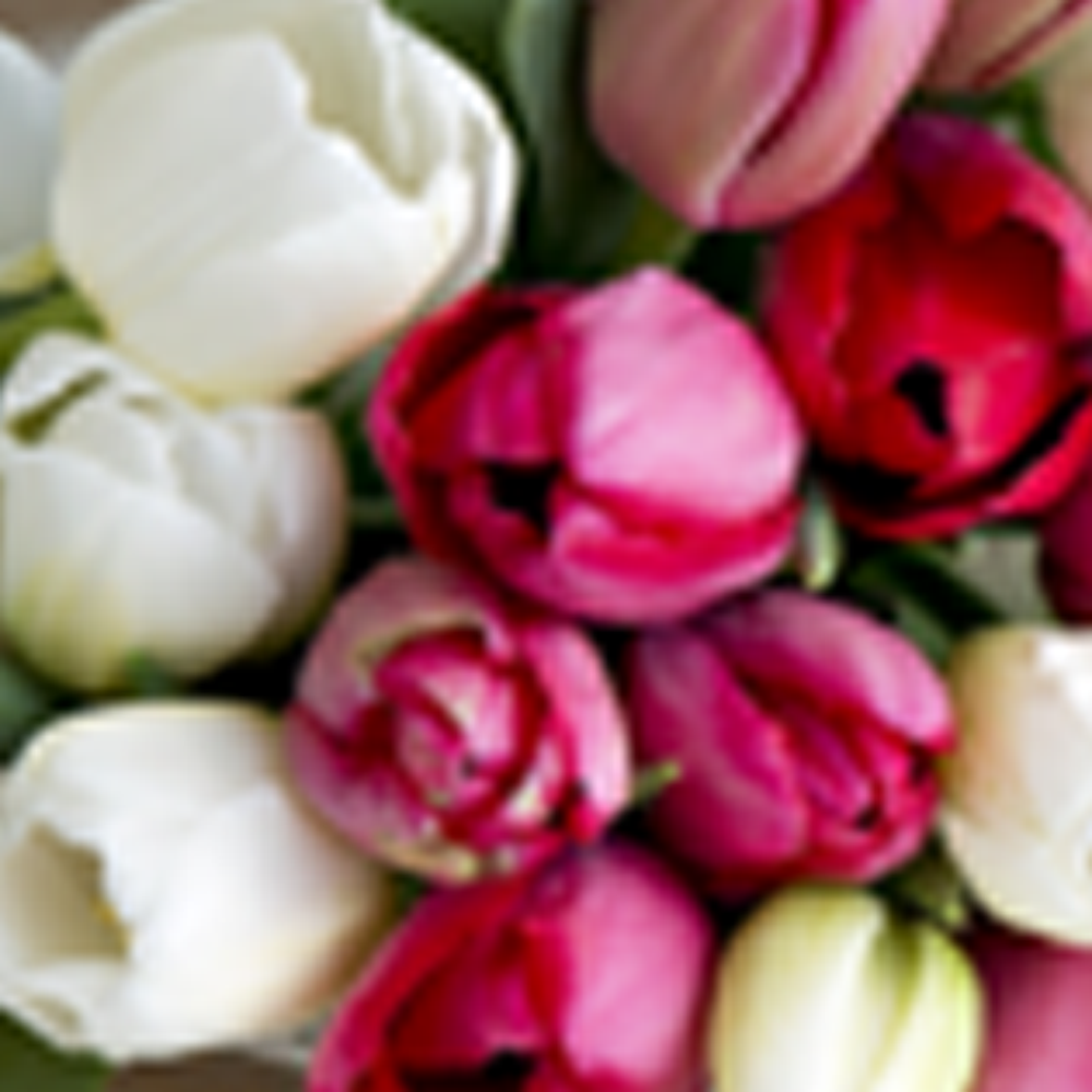 Bertha S Flowers Brookhaven Ms Best Flower Site