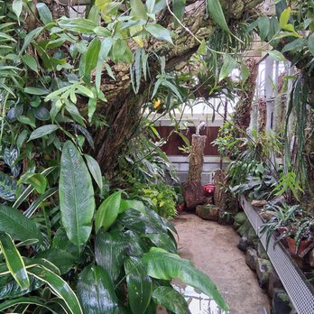 UNC Charlotte Botanical Gardens - Like a jungle - Botanical Gardens Near Me - Charlotte, North Carolina
