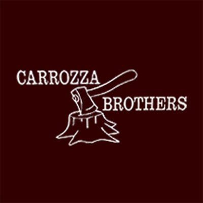 Carrozza Brothers - tree service in Glenshaw, PA