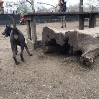 McCarren Park Dog Run - Dog Parks Near Me - Brooklyn, New York McCarren Park Dog Run - Dog Parks Near Me - Brooklyn, New York