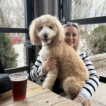 Good News Brewing Defiance - Dog - Brewpubs Near Me - Defiance, Missouri Good News Brewing Defiance - Dog - Brewpubs Near Me - Defiance, Missouri