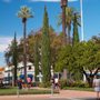 Photo of The Old Towne Orange Realtor