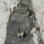 Photo of Biondi Diamond Jewelers