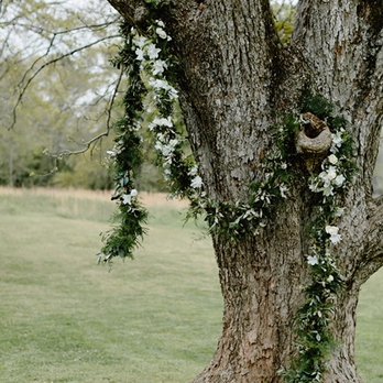 In The Meadow - Florists Near Me - Atlanta, Georgia In The Meadow - Florists Near Me - Atlanta, Georgia