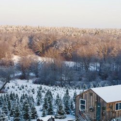 Riverwind Tree Farm