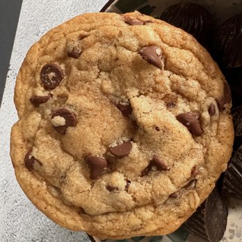 Curious Bites - Desserts Near Me Curious Bites - Desserts Near Me