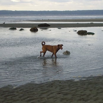 Double Bluff Beach - Beaches Near Me - Freeland, Washington