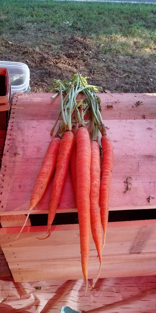 THE HINES GARDEN Updated October 2024 10 Photos 18510 Muncaster