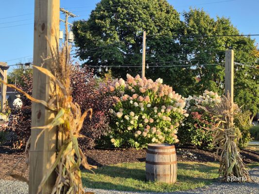 Jamesport Brewing Company by null