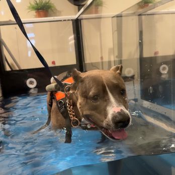 Animals Only - Veterinarians Near Me - San Diego, California