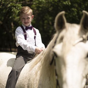 Llamazing Party Animals - Petting Zoos Near Me Llamazing Party Animals - Petting Zoos Near Me