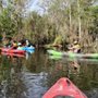 Photo of Adventures in Florida