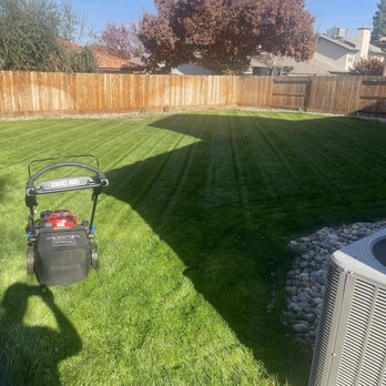 Valencia Landscaping and Tree Services - Landscaping Near Me Valencia Landscaping and Tree Services - Landscaping Near Me