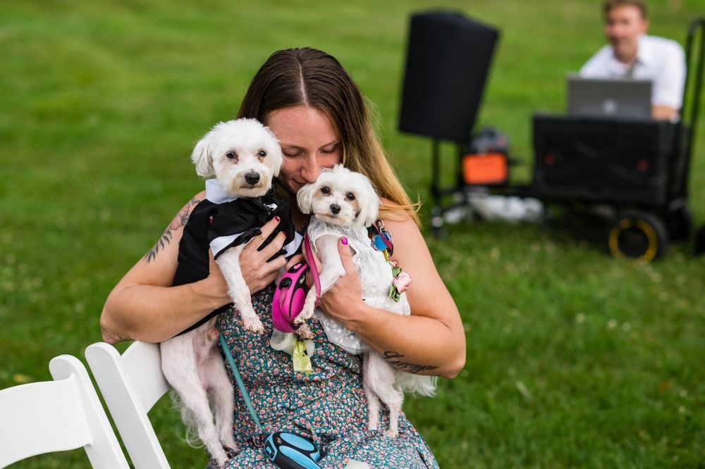 LeeLee’s Pet Care - pet boarding facility in Newport, DE