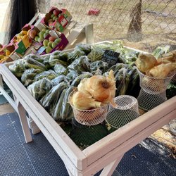 Saetern Farm