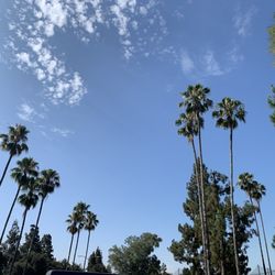 Arcadia County Park