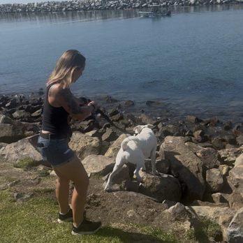 The Dog Listener - Doing sessions in cool different locations. New environment with many distractions. Amazing hands on work! - Pet Training Near Me The Dog Listener - Doing sessions in cool different locations. New environment with many distractions. Amazing hands on work! - Pet Training Near Me