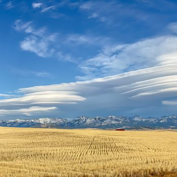 Mr. B's Carpet Cleaning - Serving all of SW Montana - Carpet Cleaning Near Me
