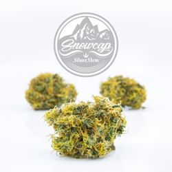 Silver Stem Fine Cannabis - Snowcap