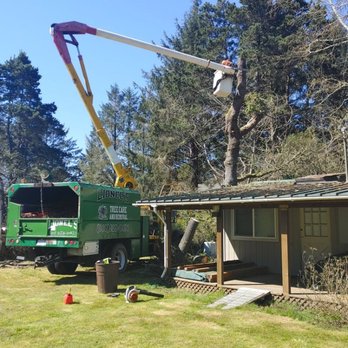 Lionels Tree Care - Tree Services Near Me - Aberdeen, Washington