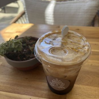 The Morning Grove - Wraps Near Me - Carlsbad, California The Morning Grove - Wraps Near Me - Carlsbad, California