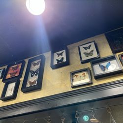 Stones and Bones - Butterfly's in glass.