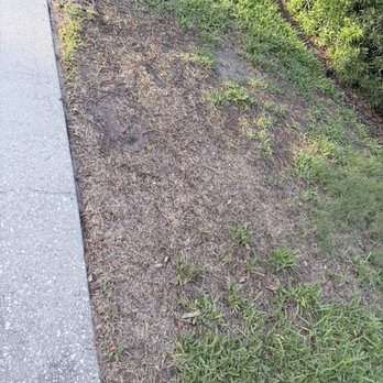 Turner Pest Control - Pest Control Near Me - Sarasota, Florida Turner Pest Control - Pest Control Near Me - Sarasota, Florida