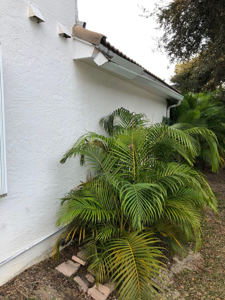 ABEL GUTTER SERVICE 15 Reviews Jupiter, Florida Gutter Services