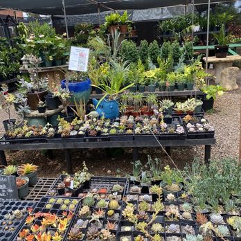 Mari's Gardens - Plants galore - Nurseries & Gardening Near Me - Mililani, Hawaii