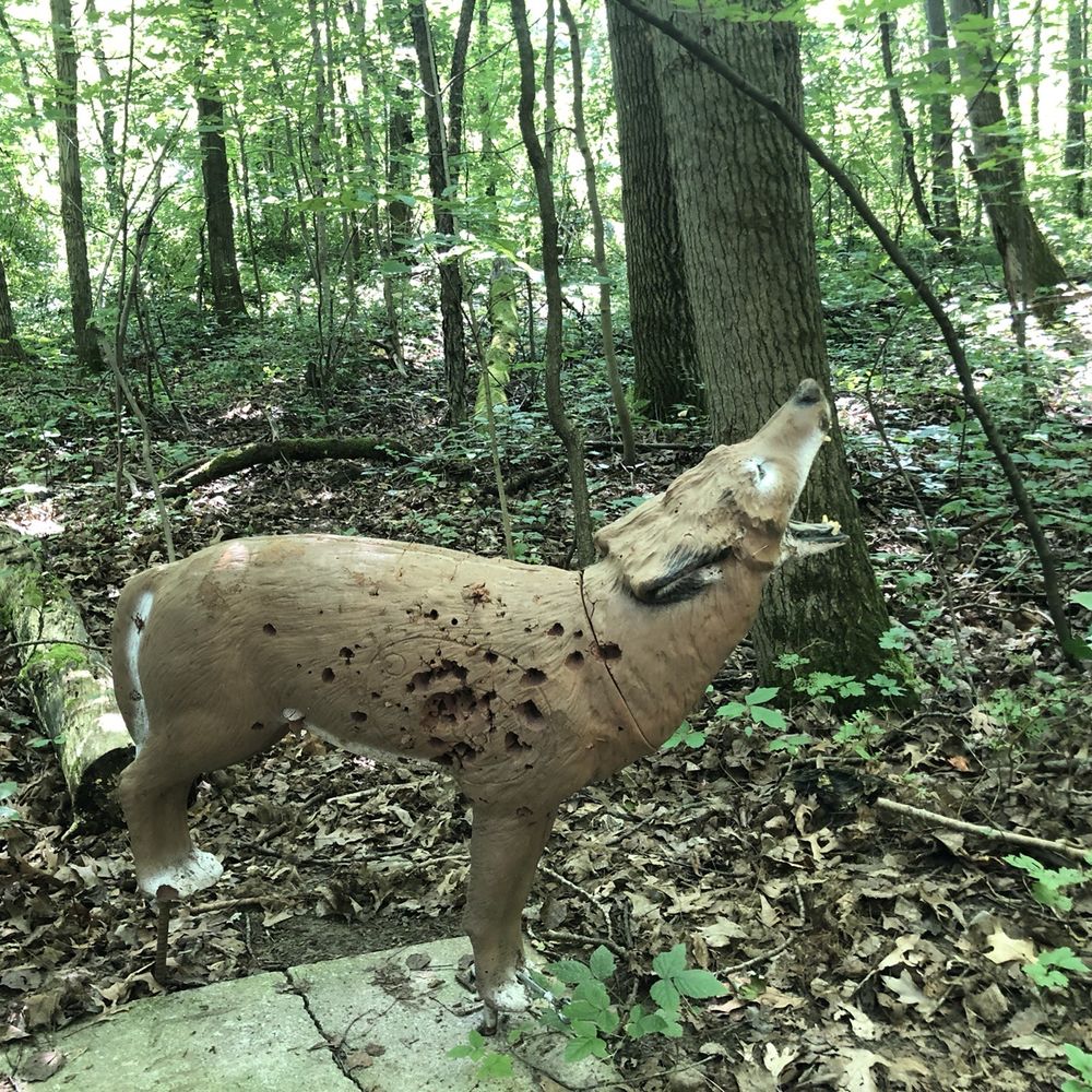 One of the archery targets. Lol poor guy. One of the archery targets. Lol poor guy.