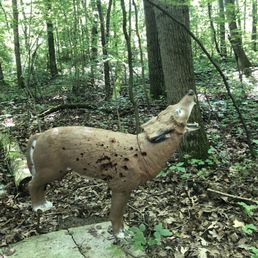 One of the archery targets. Lol poor guy.