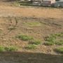 Photo of Peninsula Point Luxury RV & Tiny Home Resort