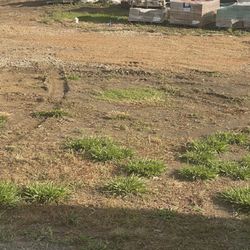 Peninsula Point Luxury RV & Tiny Home Resort - View of site next door