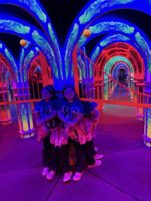 Magowan's Infinite Mirror Maze by null