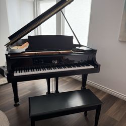 Precision Piano Services - 1919 Steinway Model O restored by Franco Skilan