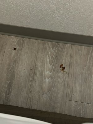 Clarion Inn Idaho Falls Riverfront by null