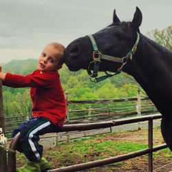 Stonehouse Stable - My horse could not be happier