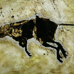 Weltkulturerbe Grube Messel - Fund