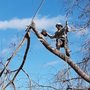 A & H Tree Services