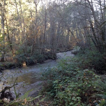 Kobayashi Park - Nice view of the creek - Parks Near Me - University Place, Washington